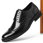 Royal Brogue Oxford Shoes